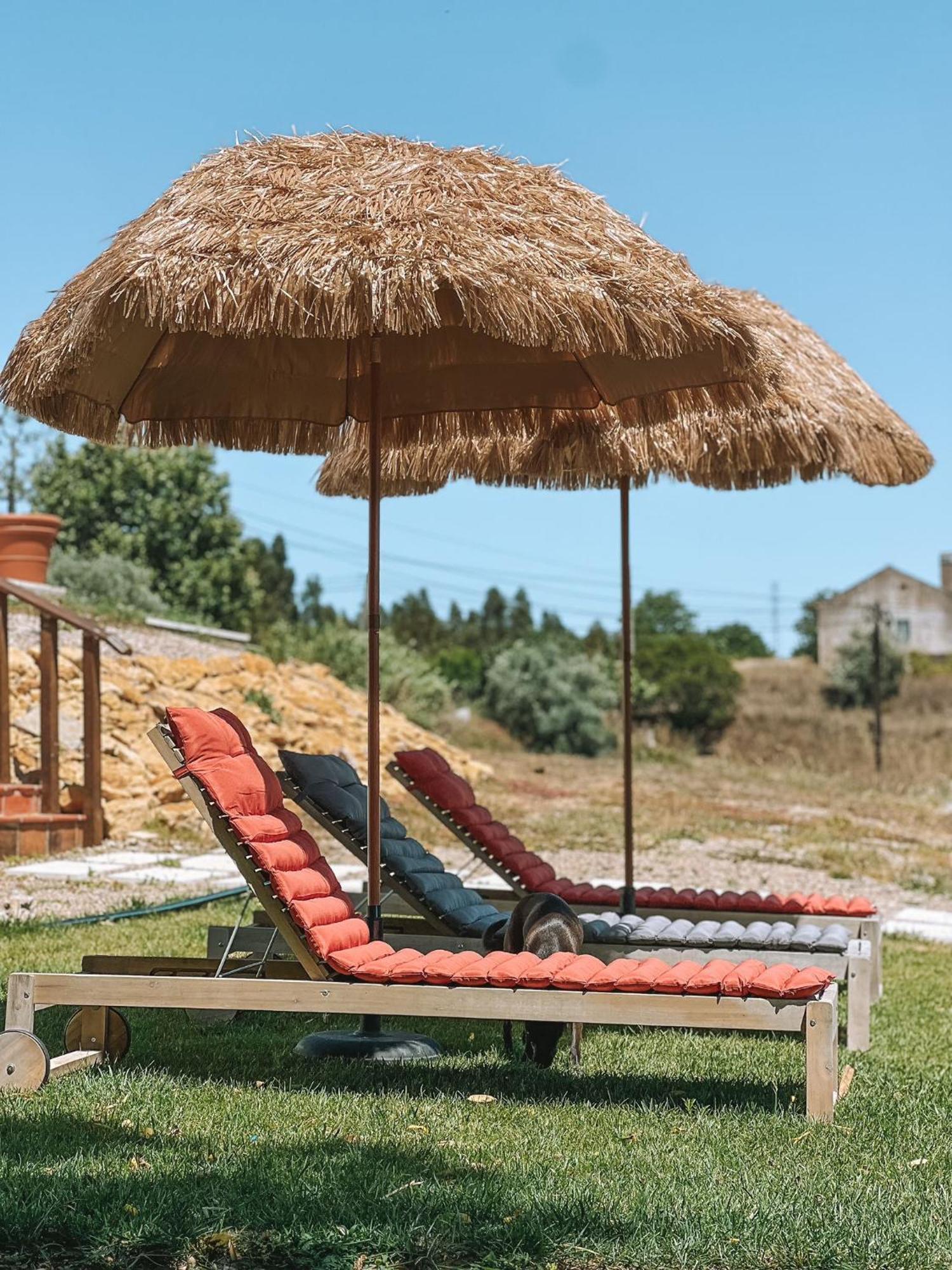 Vila Quinta De Sao Pedro De Tomar Exteriér fotografie